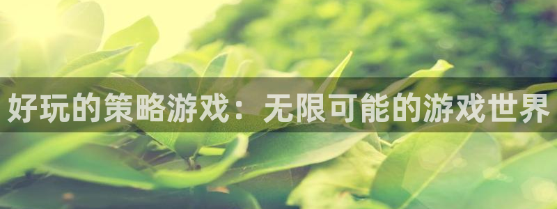 杏悦平台招商怎么样