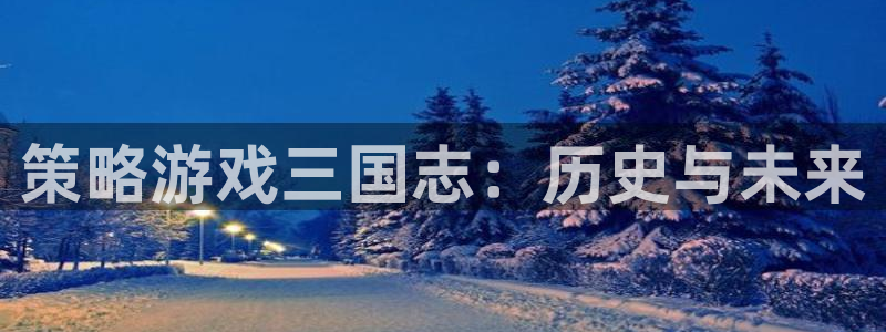 杏悦娱乐注册账号怎么注销：策略游戏三国志：历史与未来