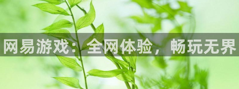 杏悦平台招商电话：网易游戏：全网体验，畅玩无界