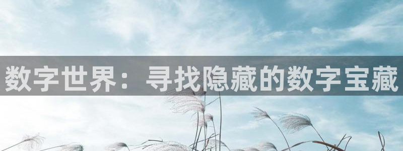 杏悦代理是正规品牌吗