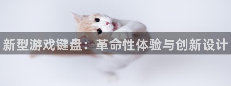 杏悦平台注册要钱吗