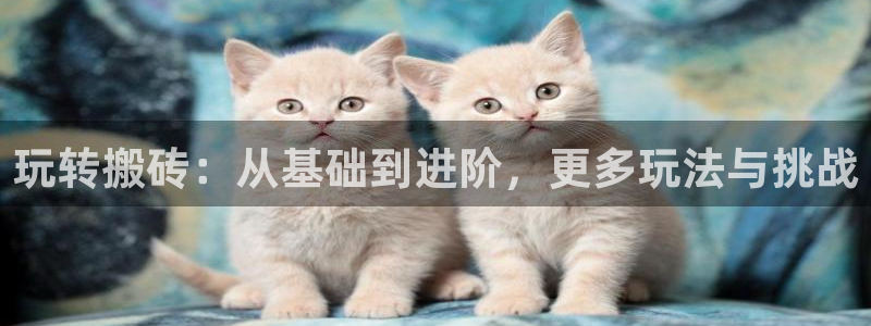 杏悦平台登录入口：玩转搬砖：从基础到进阶，更多玩法与挑战