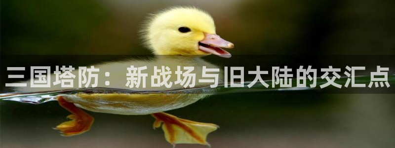 杏悦娱乐注册地址查询官网电话