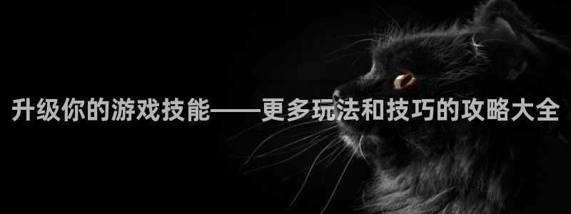 杏悦娱乐是什么平台播放：升级你的游戏技能——更多玩法和技巧的