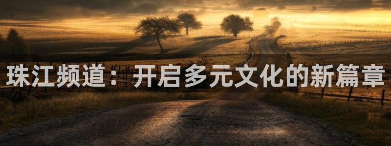 鲸鱼体育直播在线