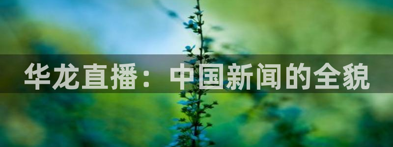 jytv鲸鱼体育直播：华龙直播：中国新闻的全貌