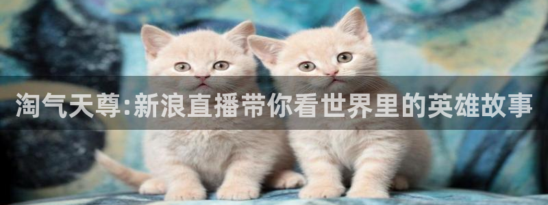 鲸鱼直播体育