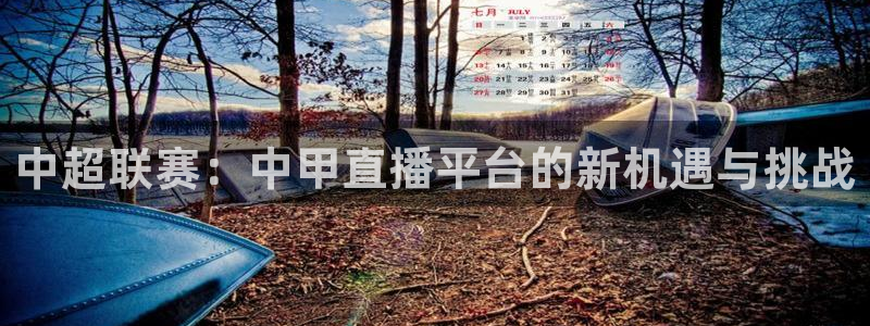 鲸鱼体育怎么免费看：中超联赛：中甲直播平台的新机遇与挑战