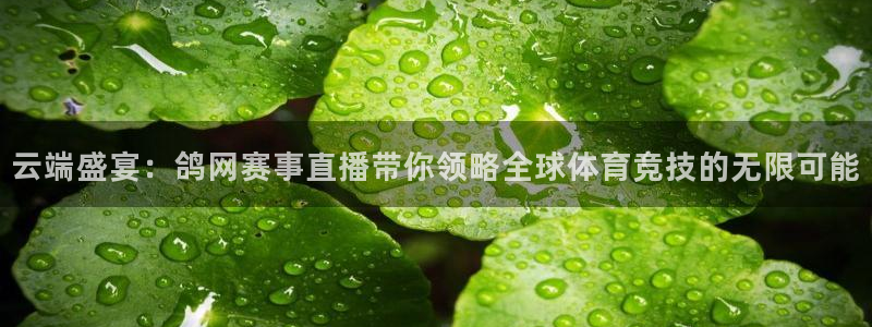 cc67tv鲸鱼体育：云端盛宴：鸽网赛事直播带你领略全球体育竞技的无限可能