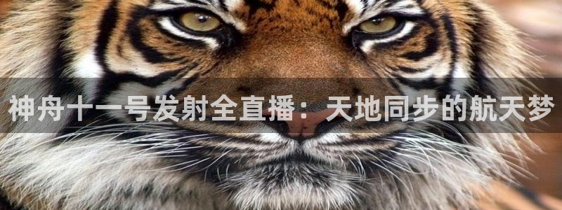 鲸鱼体育.