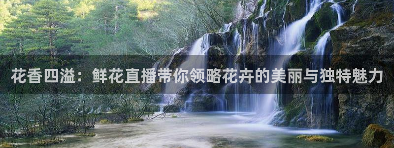 蓝鲸鱼直播：花香四溢：鲜花直播带你领略花卉的美丽与独特魅力