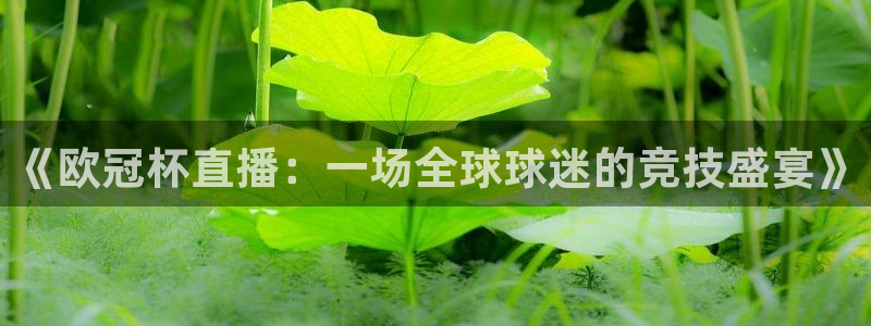cc67tv鲸鱼体育