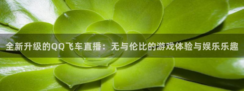 鲸鱼体育怎么免费看直播