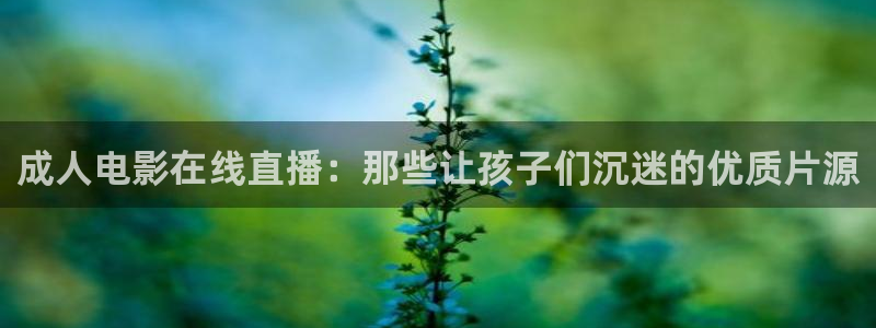 鲸鱼体育在线直播免费