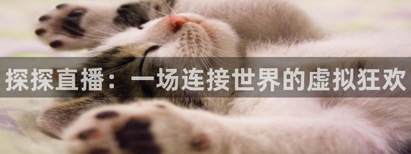 鲸鱼体育tv在线观看