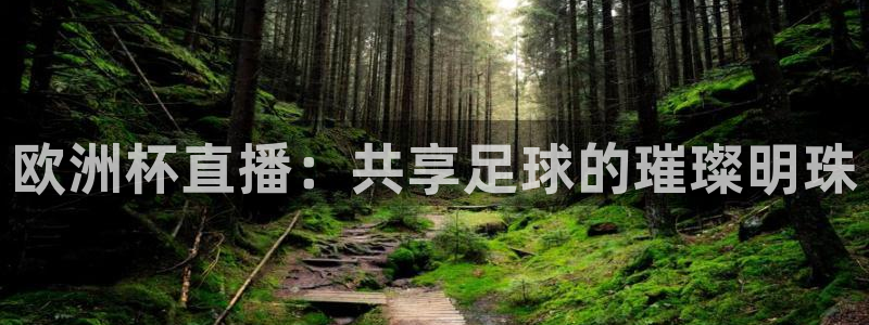鲸鱼直播体育：欧洲杯直播：共享足球的璀璨明珠