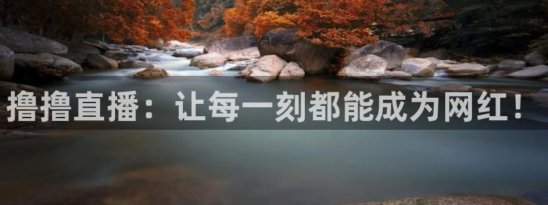 鲸鱼体育直播下载最新版：撸撸直播：让每一刻都能成为网红！
